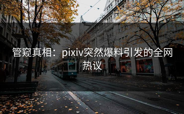 管窥真相：pixiv突然爆料引发的全网热议