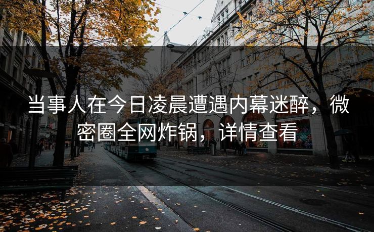 当事人在今日凌晨遭遇内幕迷醉，微密圈全网炸锅，详情查看