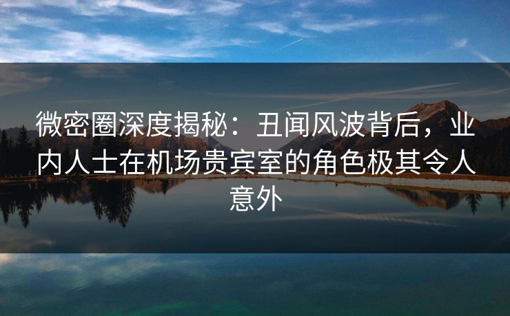 微密圈深度揭秘：丑闻风波背后，业内人士在机场贵宾室的角色极其令人意外
