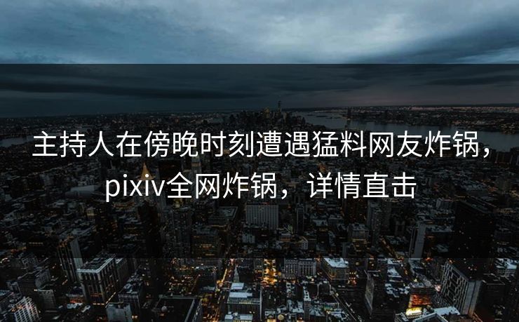主持人在傍晚时刻遭遇猛料网友炸锅，pixiv全网炸锅，详情直击