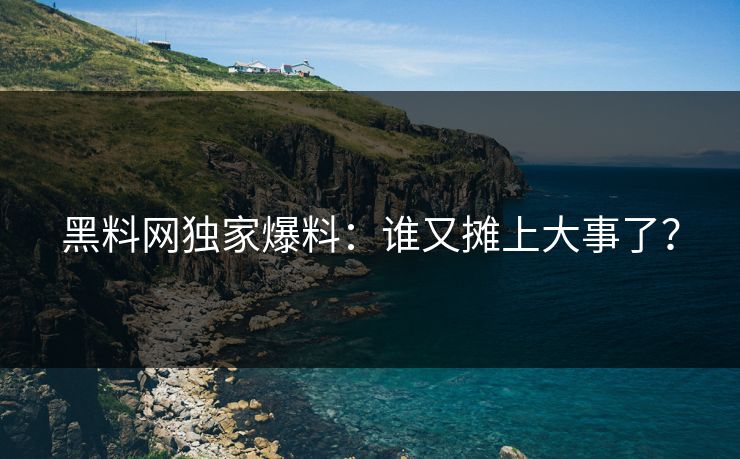 黑料网独家爆料：谁又摊上大事了？