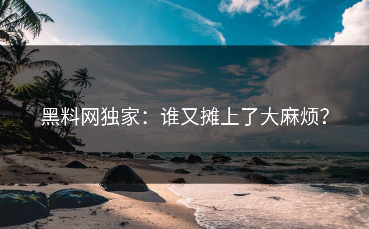 黑料网独家：谁又摊上了大麻烦？