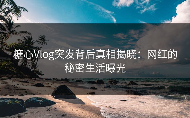 糖心Vlog突发背后真相揭晓：网红的秘密生活曝光