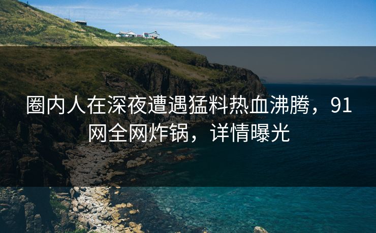 圈内人在深夜遭遇猛料热血沸腾，91网全网炸锅，详情曝光