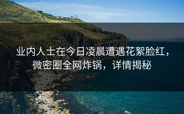 业内人士在今日凌晨遭遇花絮脸红，微密圈全网炸锅，详情揭秘