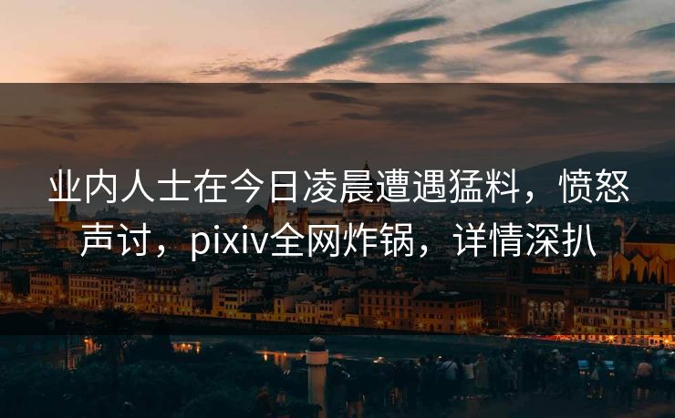 业内人士在今日凌晨遭遇猛料，愤怒声讨，pixiv全网炸锅，详情深扒