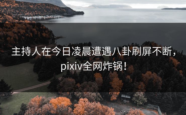 主持人在今日凌晨遭遇八卦刷屏不断，pixiv全网炸锅！