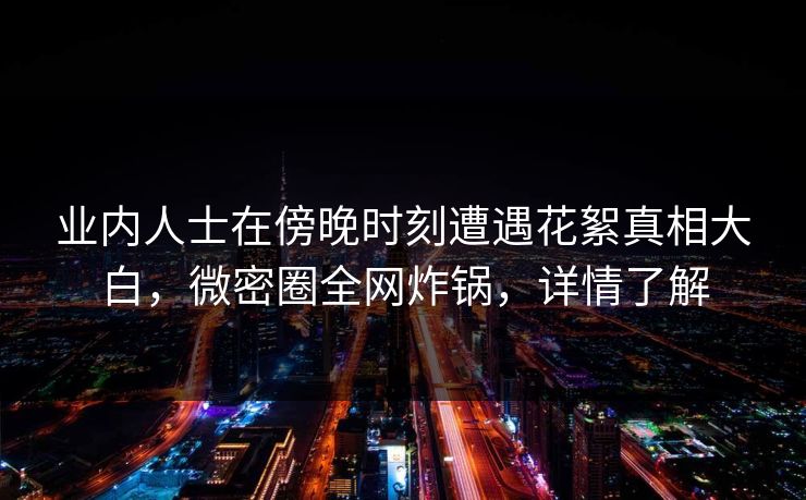 业内人士在傍晚时刻遭遇花絮真相大白，微密圈全网炸锅，详情了解